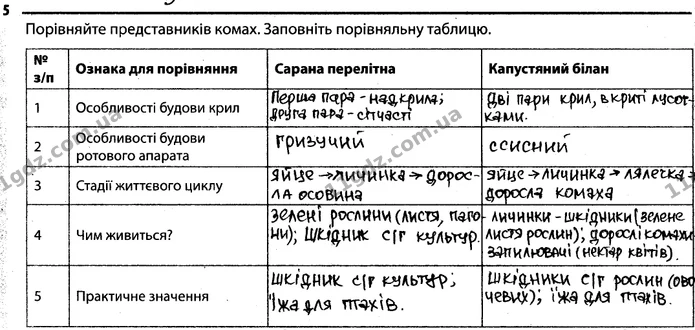 5. Порівняйте представників комах. Заповніть порівняльну таблицю. — ГДЗ Робочий зошит Біологія 7 клас Задорожний