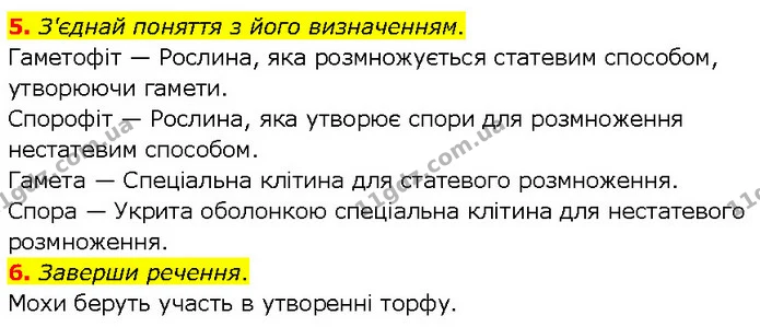 5. З'єднай поняття з його визначенням. — ГДЗ робочий зошит Біологія 7 клас Тагліна