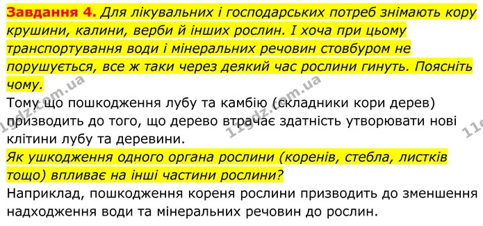 4. Для лікувальних і господарських потреб знімають кору крушини, калини, верби й інших рослин. І хоча при цьому транспортування води і — ГДЗ Робочий зошит Біологія 7 клас Мирна 2024