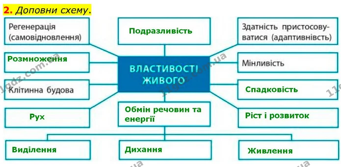 2. Доповни схему. — ГДЗ робочий зошит Біологія 7 клас Тагліна