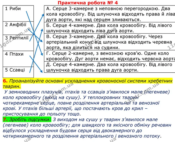 Стор. 66 — 1 (2) — ГДЗ Робочий зошит з Біології 7 клас Яременко — ГДЗ Робочий зошит з Біології 7 клас Яременко