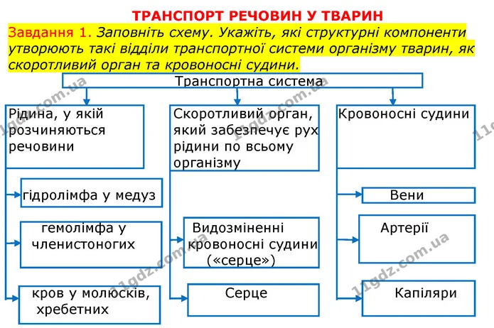 Стор. 64 — 1 (2) — ГДЗ Робочий зошит з Біології 7 клас Яременко — ГДЗ Робочий зошит з Біології 7 клас Яременко