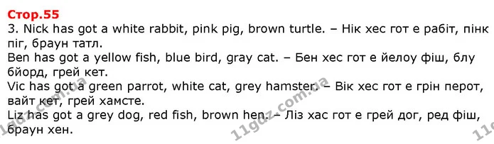 3. Nick has got a white rabbit, pink pig, brown turtle. – Нік хес гот е рабіт, пінк піг, браун татл. — Решебник English 1 клас Карпюк 2018
