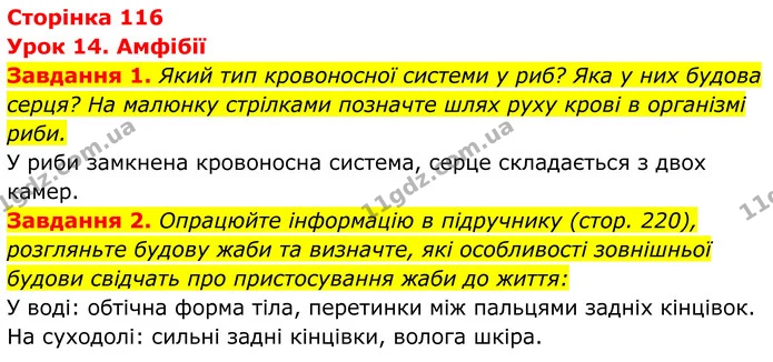 1. Який тип кровоносної системи у риб? Яка у них будова серця? На малюнку стрілками позначте шлях руху крові в організмі риби. — ГДЗ Робочий зошит Біологія 7 клас Мирна 2024
