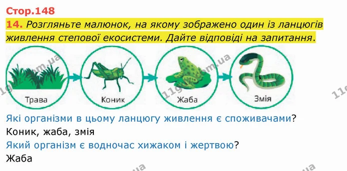 14. Розгляньте малюнок, на якому зображено один із ланцюгів живлення степової екосистеми. Дайте відповіді на запитання. — ГДЗ Я досліджую світ 4 клас Воронцова 1-2 ч.