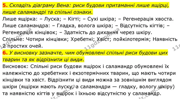 5. Складіть діаграму Вена: риси будови притаманні лише ящірці, лише саламандрі та спільні ознаки. — ГДЗ Біологія 7 клас Тагліна