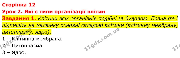 1. Клітини всіх організмів подібні за будовою. Позначте і підпишіть на малюнку основні складові клітини (клітинну мембрану, цитоплазму — ГДЗ Робочий зошит Біологія 7 клас Мирна 2024
