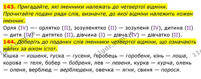 143. Пригадайте, які іменники належать до четвертої відміни. Прочитайте подані ряди слів, визначте, до якої відміни належить кожен — ГДЗ Українська мова 6 клас Ворон, Солопенко