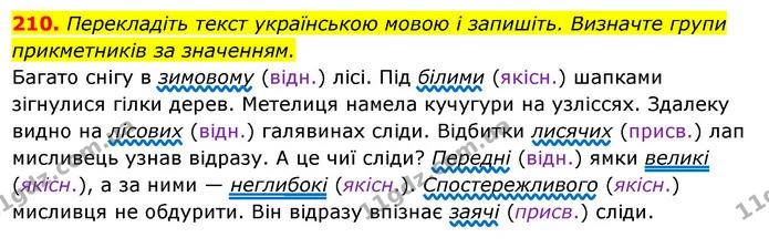 210. Перекладіть текст українською мовою і запишіть. Визначте групи — ГДЗ Українська мова 6 клас Ворон, Солопенко