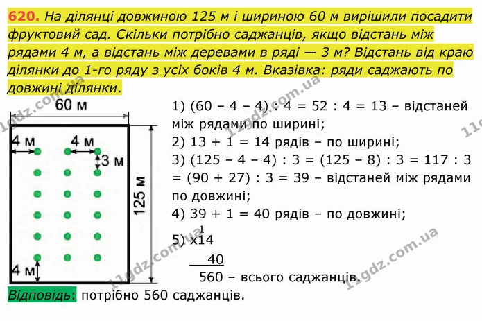 620. На ділянці довжиною 125 м і шириною 60 м вирішили посадити фруктовий сад. Скільки потрібно саджанців, якщо відстань між рядами 4 — ГДЗ Математика 4 клас Лишенко 1-2 ч.