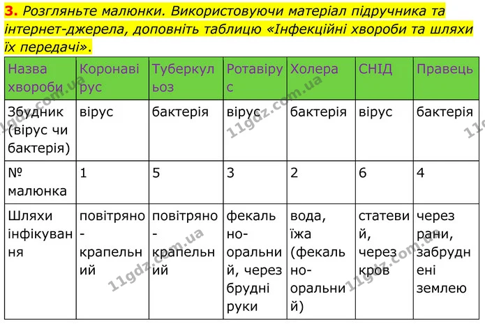 3. Розгляньте малюнки. Використовуючи матеріал підручника та інтернет-джерела, доповніть таблицю «Інфекційні хвороби та шляхи їх — ГДЗ Робочий зошит Біологія 8 клас Кулініч