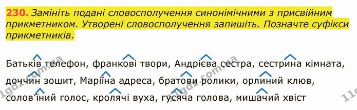 230. Замініть подані словосполучення синонімічними з присвійним прикметником. Утворені словосполучення запишіть. Позначте суфікси — ГДЗ Українська мова 6 клас Заболотний 2019