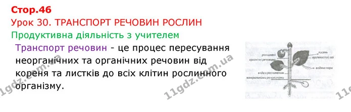 Стор. 46 — 1 — ГДЗ Робочий зошит Біологія 6 клас Соболь — ГДЗ Робочий зошит Біологія 6 клас Соболь