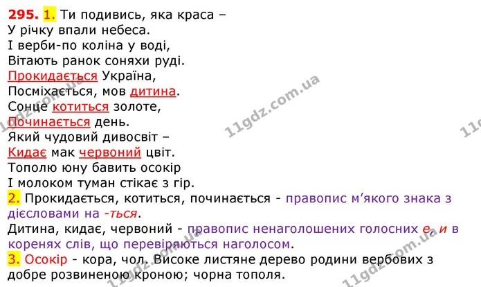 295. 1. Ти подивись, яка краса – — ГДЗ Українська мова 5 клас Єрмоленко 2018