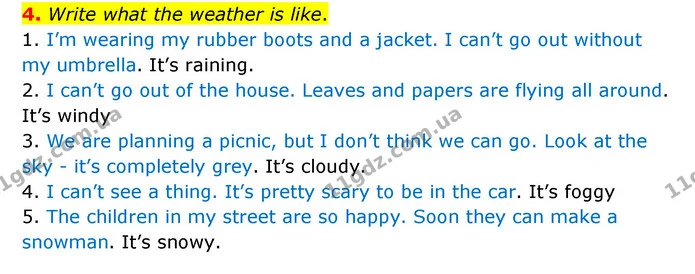 4. Write what the weather is like. — ГДЗ Робочий зошит Англійська мова 5 клас Карпюк