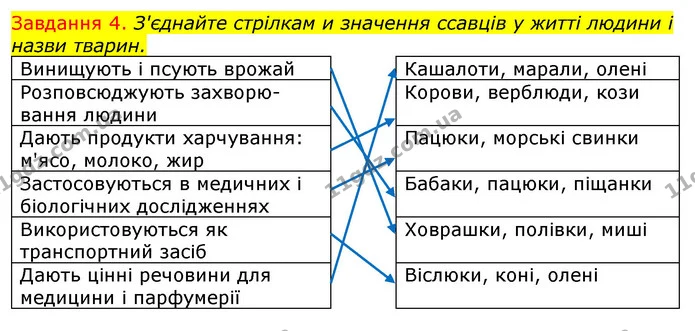 Стор. 57 — 4 — ГДЗ Робочий зошит з Біології 7 клас Яременко — ГДЗ Робочий зошит з Біології 7 клас Яременко
