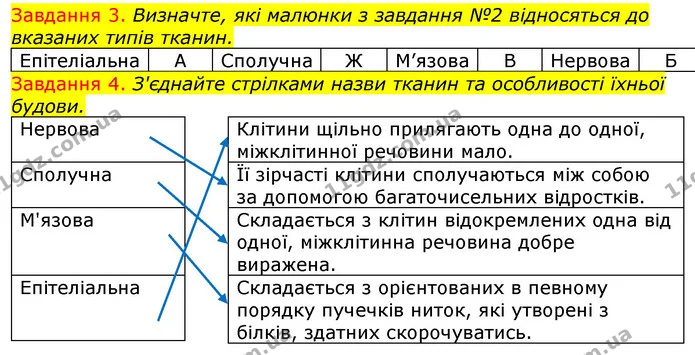 Стор. 7 — 3-4 — ГДЗ Робочий зошит з Біології 7 клас Яременко — ГДЗ Робочий зошит з Біології 7 клас Яременко