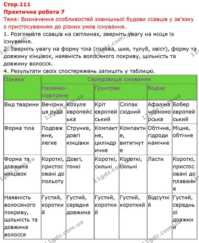 Пр.7 (1) — ГДЗ робочий зошит Біологія 7 клас Кулініч — ГДЗ робочий зошит Біологія 7 клас Кулініч