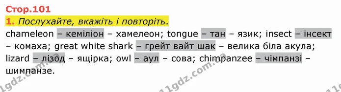1. Послухайте, вкажіть і повторіть. — ГДЗ Англійська мова 4 клас Карпюк НУШ
