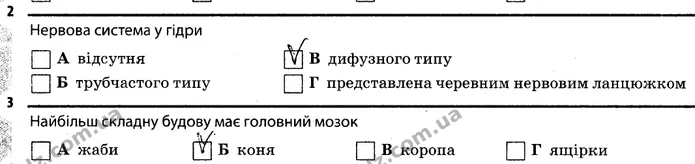 Стор. 48 — 2-3 — ГДЗ Робочий зошит Біологія 7 клас Задорожний — ГДЗ Робочий зошит Біологія 7 клас Задорожний