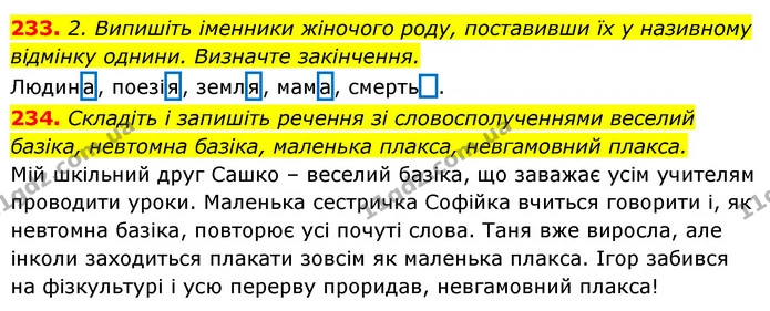 233. 2. Випишіть іменники жіночого роду, поставивши їх у називному відмінку однини. Визначте закінчення. — ГДЗ Відповіді Українська мова 6 клас Єрмоленко