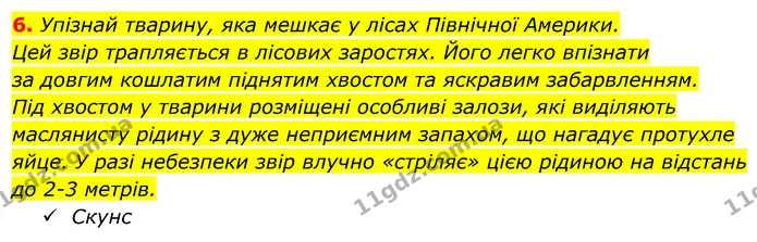 6. Упізнай тварину, яка мешкає у лісах Північної Америки. — ГДЗ Робочий зошит Я досліджую світ 4 клас Гільберг