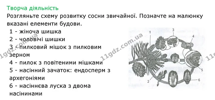 Стор. 76 — 2 — ГДЗ Робочий зошит Біологія 6 клас Соболь — ГДЗ Робочий зошит Біологія 6 клас Соболь