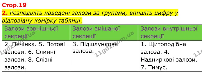 2. Розподіліть наведені залози за групами, впишіть цифру у відповідну комірку таблиці. — ГДЗ Робочий зошит Біологія 8 клас Кулініч
