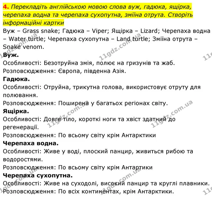 4. Перекладіть англійською мовою слова вуж, гадюка, ящірка, черепаха водна та черепаха сухопутна, зміїна отрута. Створіть інформаційні — ГДЗ Біологія 7 клас Тагліна