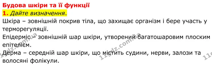 1. Дайте визначення. — ГДЗ Робочий зошит Біологія 8 клас Кулініч
