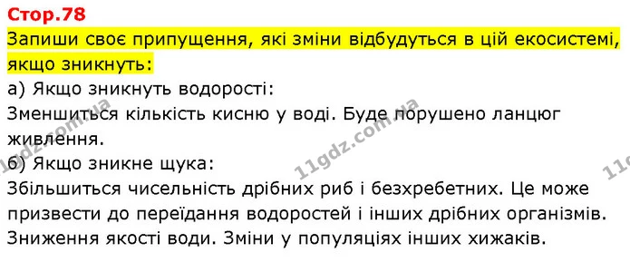 Стор. 78 — 1 — ГДЗ Робочий зошит Пізнаємо природу 6 клас Коршевнюк — ГДЗ Робочий зошит Пізнаємо природу 6 клас Коршевнюк