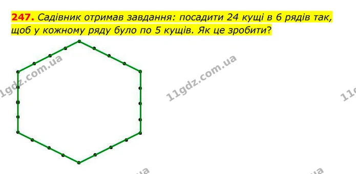 247. Садівник отримав завдання: посадити 24 кущі в 6 рядів так, щоб у кожному ряду було по 5 кущів. Як це зробити? — ГДЗ Математика 5 клас Бевз
