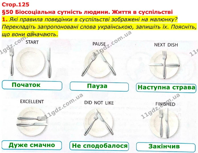1. Які правила поведінки в суспільстві зображені на малюнку? Перекладіть запропоновані слова українською, запишіть їх. Поясніть, що — ГДЗ Робочий зошит Біологія 8 клас Тагліна (2025)