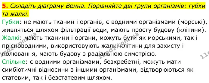 5. Складіть діаграму Венна. Порівняйте дві групи організмів: губки та жалкі. — ГДЗ робочий зошит Біологія 7 клас Кулініч