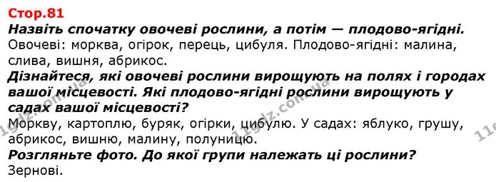 Назвіть прилади для вимірювання. Що можна ними вимірювати? Чи доводилося вам ними користуватися? Де саме? — ГДЗ Я досліджую світ 1 клас Гільберг