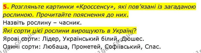 5. Розгляньте картинки «Кроссенсу», які пов’язані із загаданою рослиною. Прочитайте пояснення до них. — ГДЗ робочий зошит Біологія 7 клас Кулініч