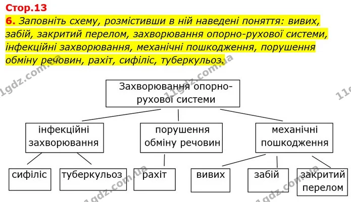 6. Заповніть схему, розмістивши в ній наведені поняття: вивих, забій, закритий перелом, захворювання опорно-рухової системи, інфекційні — ГДЗ Робочий зошит Біологія 8 клас Задорожний