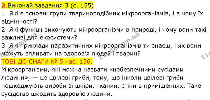 Стор. 62 — 2-4 — ГДЗ Робочий зошит Пізнаємо природу 6 клас Коршевнюк — ГДЗ Робочий зошит Пізнаємо природу 6 клас Коршевнюк