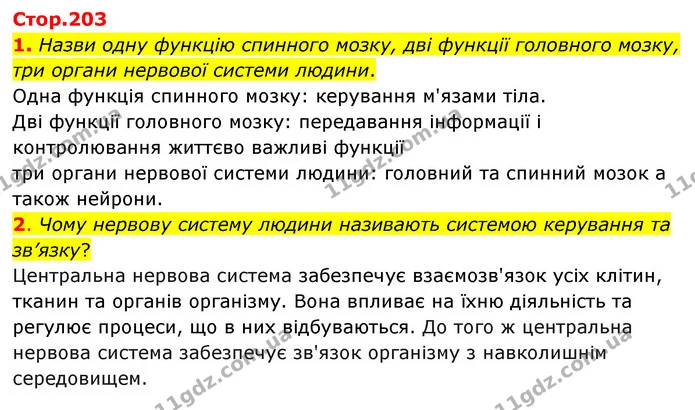 1. Назви одну функцію спинного мозку, дві функції головного мозку, три органи нервової системи людини. — ГДЗ Пізнаємо природу 6 клас Коршевнюк