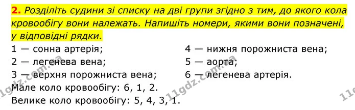 2. Розділіть судини зі списку на дві групи згідно з тим, до якого кола кровообігу вони належать. Напишіть номери, якими вони позначені — ГДЗ Робочий зошит Біологія 8 клас Задорожний