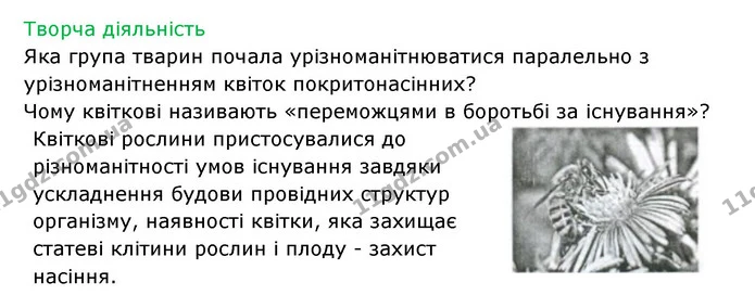 Стор. 78 — 2 — ГДЗ Робочий зошит Біологія 6 клас Соболь — ГДЗ Робочий зошит Біологія 6 клас Соболь