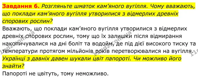 6. Розгляньте шматок кам’яного вугілля. Чому вважають, що поклади кам’яного вугілля утворилися з відмерлих древніх спорових рослин? — ГДЗ Робочий зошит Біологія 7 клас Мирна 2024