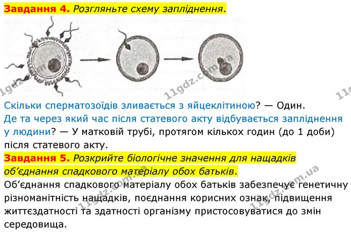 Стор. 132 — 4-5 — ГДЗ Робочий зошит біологія 8 клас Мирна — ГДЗ Робочий зошит біологія 8 клас Мирна