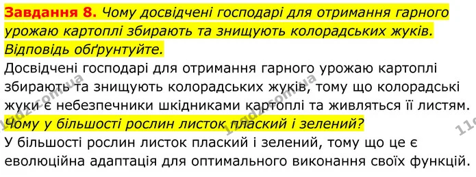 8. Чому досвідчені господарі для отримання гарного урожаю картоплі збирають та знищують колорадських жуків. Відповідь обґрунтуйте. — ГДЗ Робочий зошит Біологія 7 клас Мирна 2024