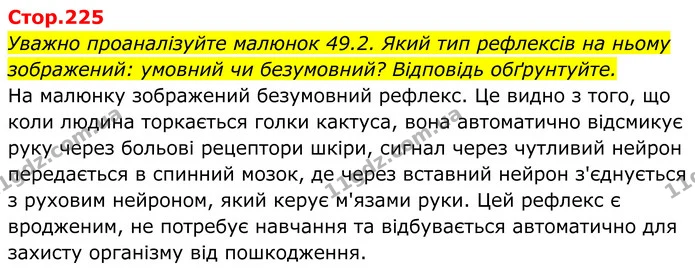 Уважно проаналізуйте малюнок 49.2. Який тип рефлексів на ньому зображений: умовний чи безумовний? Відповідь обґрунтуйте. — ГДЗ Біологія 8 клас Балан