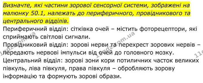 Стор. 228 — 4 — ГДЗ Біологія 8 клас Балан — ГДЗ Біологія 8 клас Балан