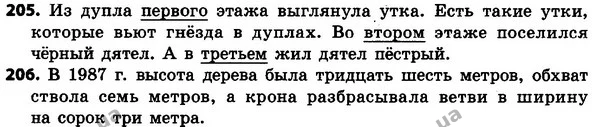 205-206 — ГДЗ Русский язык 4 класс Сильнова, Каневская 2015