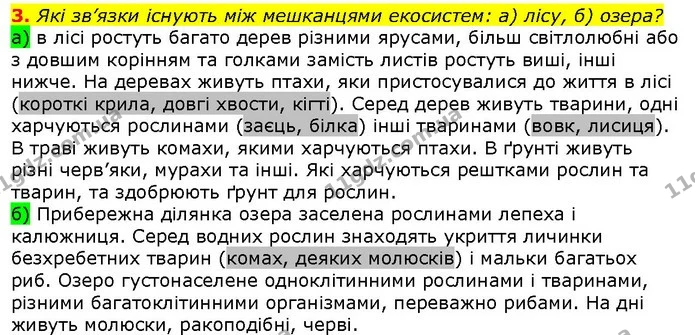 3. Які зв’язки існують між мешканцями екосистем: а) лісу, б) озера? — ГДЗ Природознавство 5 клас Ярошенко