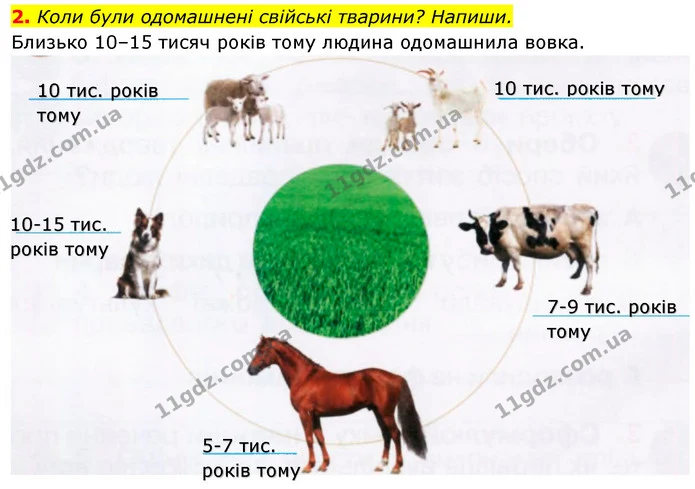 2. Коли були одомашнені свійські тварини? Напиши. — ГДЗ Робочий зошит Я досліджую світ 4 клас Грущинська
