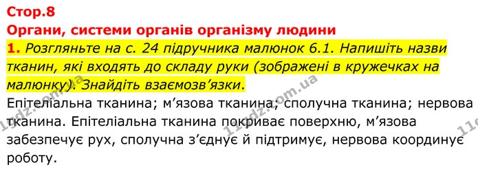 1. Розгляньте на с. 24 підручника малюнок 6.1. Напишіть назви тканин, які входять до складу руки (зображені в кружечках на малюнку) — ГДЗ Робочий зошит Біологія 8 клас Кулініч